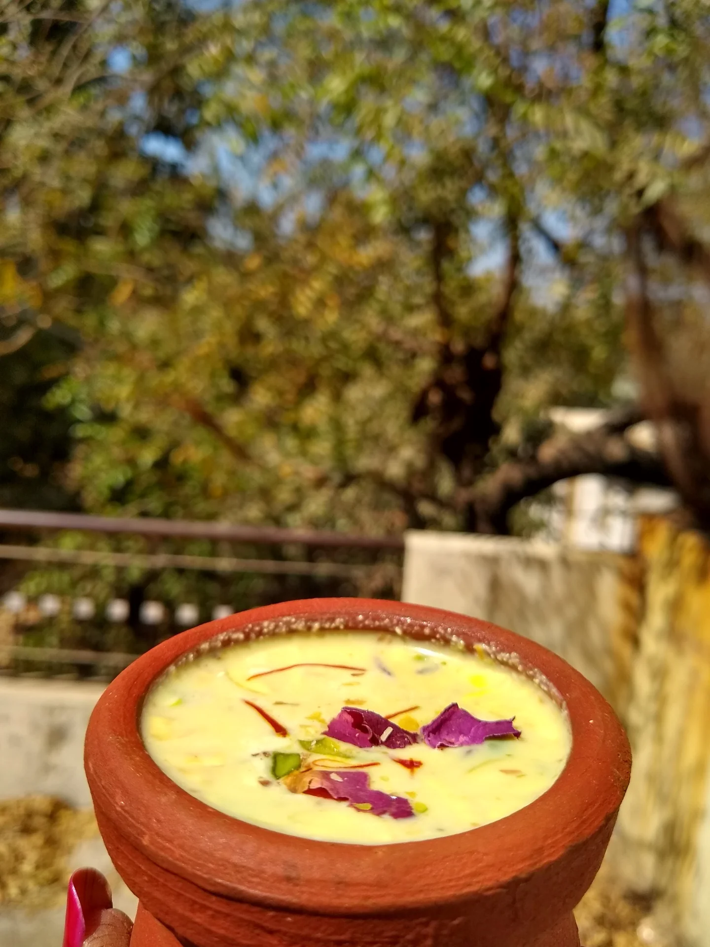 Ultimate Guide to Thandai Varanasi: Flavors of Banaras