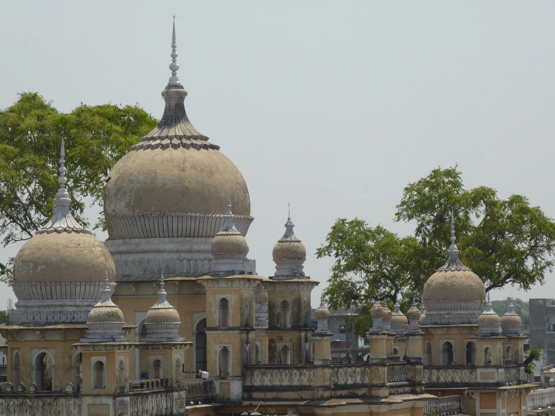 Unani Medicine in Varanasi: Traditional Healing Practices