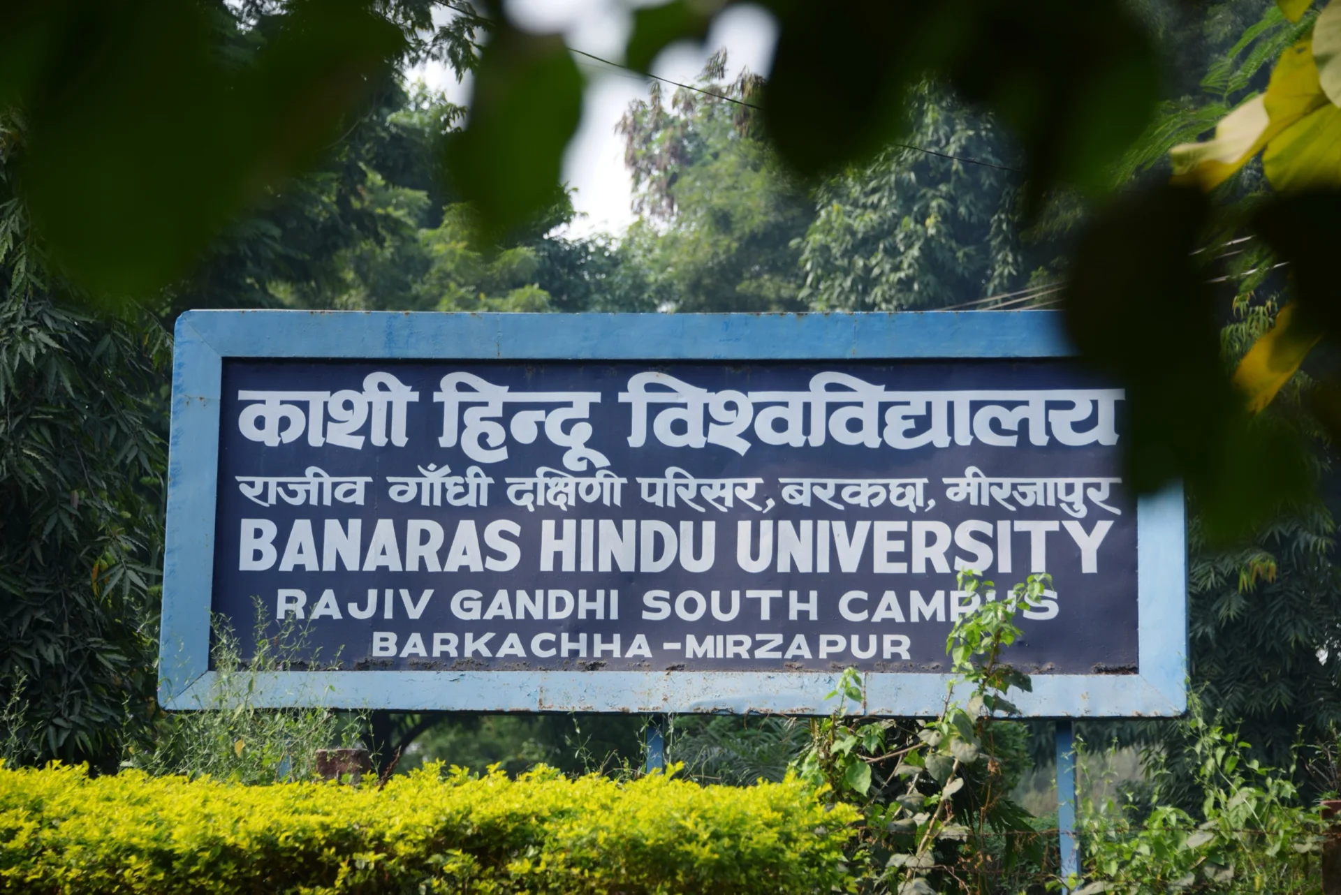 Best Colleges in Varanasi: A Complete Guide