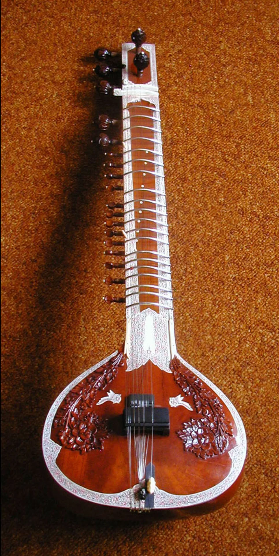 Sitar Learning Varanasi: Master the Instrument in Banaras