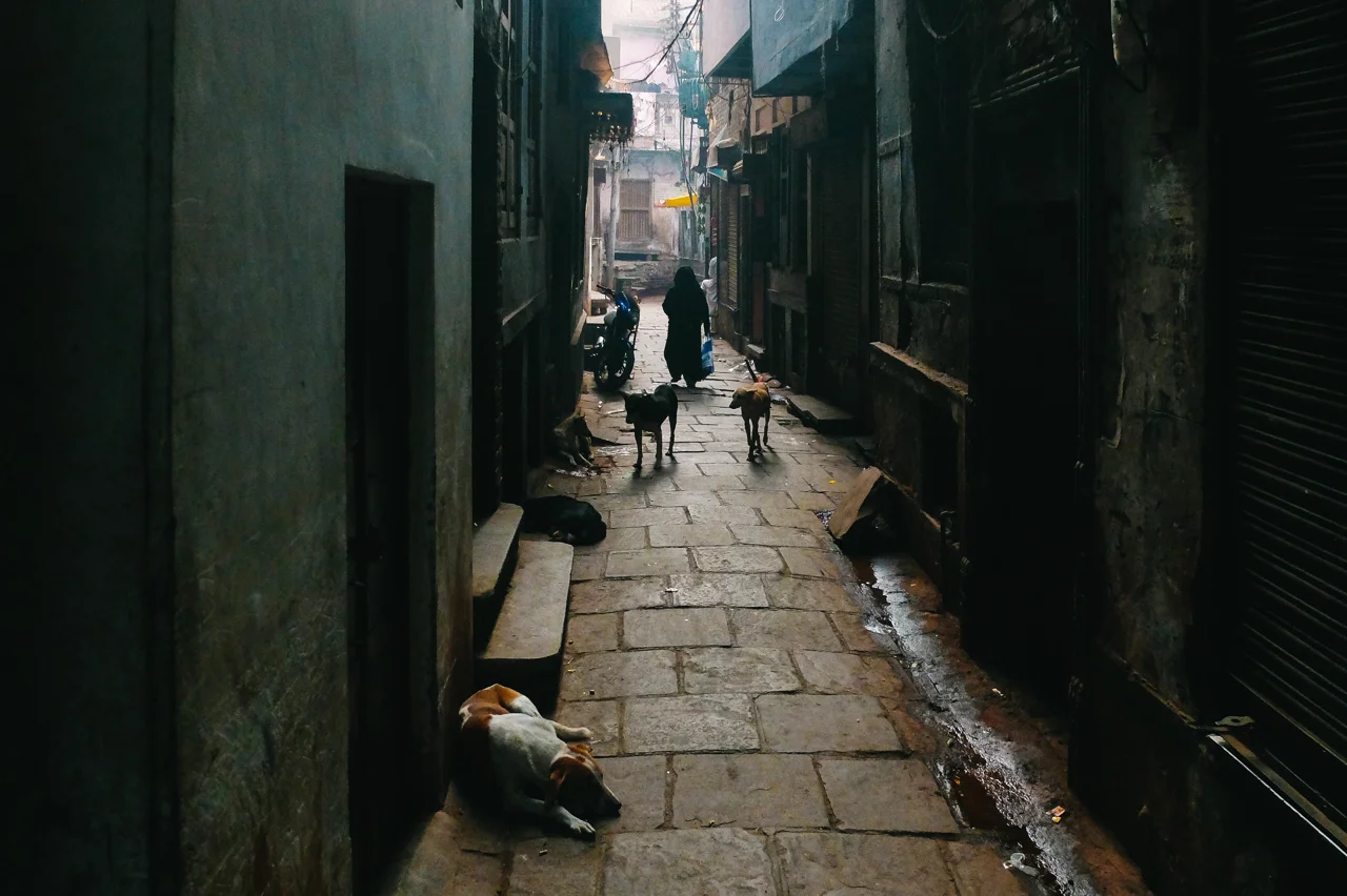 Discover Varanasi's Hidden Treasures in the Back Alleys